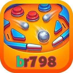 br798
